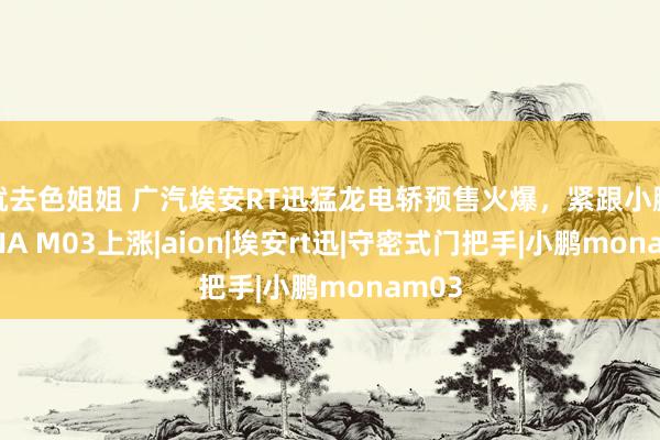 就去色姐姐 广汽埃安RT迅猛龙电轿预售火爆，紧跟小鹏MONA M03上涨|aio